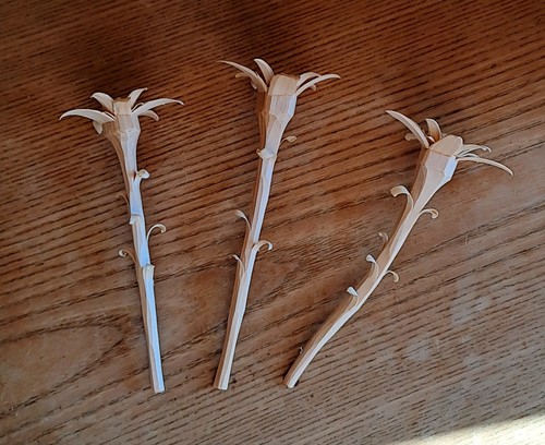 Edelweiss zirbe stück - edelweiss,