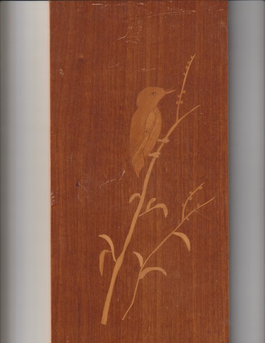 Intanrsien bild vogel - bild, auf