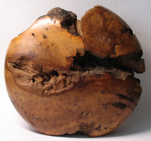 Große holz linse - holz-linse, /
