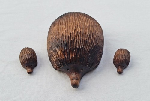 Igelmutter mit jungen aus - 2,