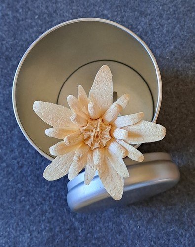 Edelweiss aus zirbenholz - aus,